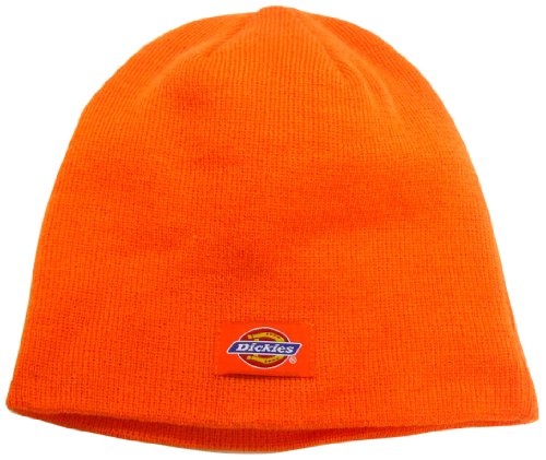 Dickies Men's 9\