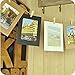 1 X Wall Deco DIY Paper Photo Frame with Mini Clothespins and Stickers - Fits 6