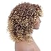 N&T Nicole and Tulip N&T Ombre Afro Kinky Curly Wigs for Black Women Ombre Blonde Synthetic Curly Hair Daily for Women