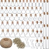 100 Pieces Small Mini Glass Bottles with Cork