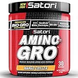 iSatori Amino-GRO Branched Chain Amino Acid Formula with Glutamine for Workout Performance, Muscle Growth, Hydration and Fast Recovery - BCAA - Mango Chiller - 30 Servings