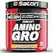 iSatori Amino-GRO Branched Chain Amino Acid Formula for Performance and Recovery (Mango Chiller)