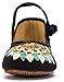 AvaCostume Women's Buddhism Totem Embroidery Casual Mary Jane Shoes, Black 38