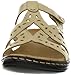 Clarks Women's Truffle Sandal