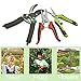 wooch Gardening Shears Garden Cutter Hand Pruner Clippers Stainless Steel Bypass Pruning Kit (Set of 3)thumb 1