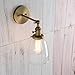 PERMO Industrial Vintage Single Sconce with Oval Cone Clear Glass Shade 1-Light Wall Sconce Wall Lamp (Antique)