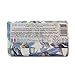 Nesti Dante Dolce Vivere Fine Natural Soap, Lago Di Como, 8.8 Ounce