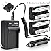 Kastar NP-F570 Battery (2-Pack) and Charger Kit for Sony L Series InfoLithium Battery NP-F570, NP-F550, NP-F530, NP-F330 and Sony DCRVX2100, HDRFX1, HD1000U, HVRZ1U, HXR-NX5U, NEX-FS100 Cameras