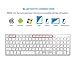Bluetooth Keyboard, Jelly Comb Rechargeable Slim BT Wireless Keyboard with Number Pad Full Size Design for Laptop Desktop PC Tablet, Windows iOS Android-White and Silver