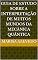 Livro Guia De Estudo Sobre A Interpretação De Muitos Mundos Da Mecânica Quântica