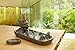 AurAmbiance Dragon Statue Backflow Incense Burner Holder with 30 Incense Cones & Bonus Healing Crystal + Upscale Gift Box