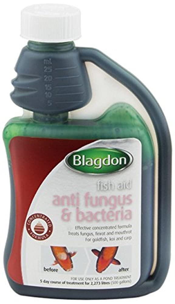 Blagdon Fast Acting Anti-Fungus & Bacteria Water Treatment for All Pond Fish, Finrot, Mouthrot, External Bacterial Infections, Wildlife & Fish Safe, 250 ml