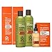 Peter Lamas Hair Solutions Energizing Shampoo, Conditioner & Serum Set, 3 Count 3 piece Set