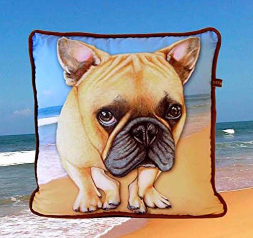 Idog and Icat French Bulldog Latte Dog Square Pillow Case Decorative Cushion with Create Wood Painting Screen on Fabric Polyester Cover Pillowcase for Sofa Colorful