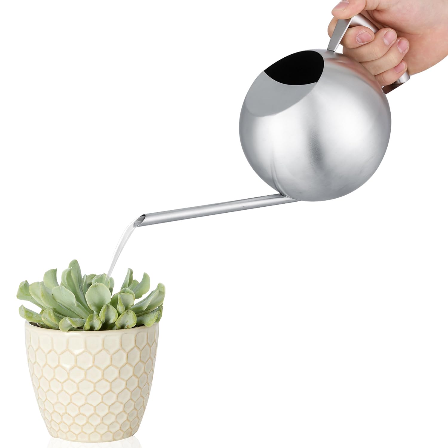 Stainless Steel Watering Can, 35oz/1000ml Indoor Plant Watering Can Modern Decorative Metal Long Spout Watering Pot for Indoor House Plants Bonsai Outdoor Garden Flowers, Silver
