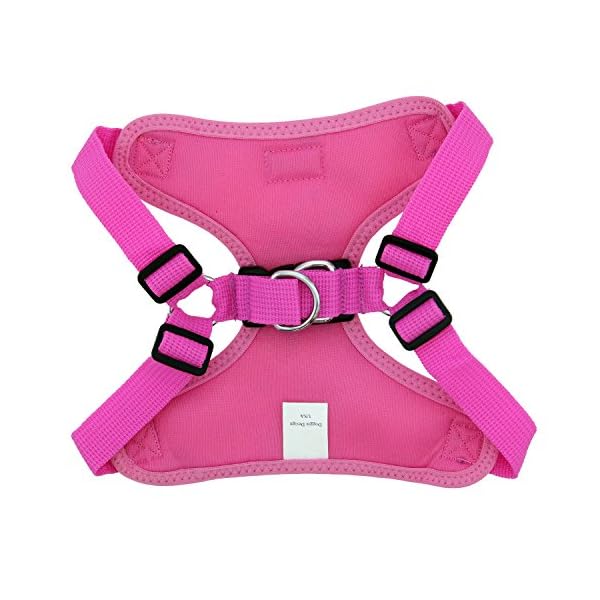 Wrap Snap Choke Free Dog Harness - Image 3