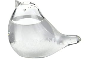 Storm Glass Weather Forecaster Bird Shape Weather Predictor Station Liquids Barometer Home Decor Gift Garden Decorations