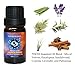 Pisces (Horoscope) - 100% Pure Therapeutic Grade Essential Oil 10ML