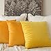 MIULEE Pack of 2 Velvet Soft Solid Decorative Square Throw Pillow Covers Set Cushion Case for Fall Sofa Bedroom 16x16 Inch 40x40 Cm Lemon Yellow
