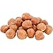 Food to Live Organic Hazelnuts, 2 Pounds – Non-GMO, Raw Filberts, Whole, Shelled, Unsalted, Kosher, Vegan, Bulk. Crunchy, Wholesome Snack. Rich in Vitamin E, Protein. Great for Baking, Trail Mixes