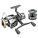FYSHFLYER Freshwater Spinning Reel Interchangeable Left/Right Handle; Double Soft Knobs; Metal Spool 9BB+1RB Perfect Carp Fishing Reel + 1 Spare Plastic Spool