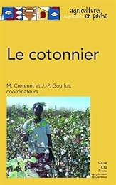Le  cotonnier