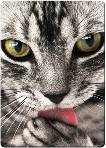 Kitten Lick cute fridge magnet 3 1/2" x 2 /18" name card size rectangular magnets.