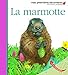 La marmotte by 