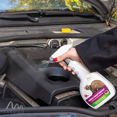GARDIGO® Marderspray - Marderschreck für Auto, Dachboden, Garten | 500ml mit Eukalyptus-Citriodora Ãl | Marderabwehr Auto zum Marder vertreiben | Abwehrspray gegen Marder im KFZ | Made in Germany – Bild 7