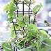 GREENWISH 4pcs 9x3inch Mini Plant Trellis Plastic Garden Plant Support DIY Climbing Trellis Flower Supports Dark Green