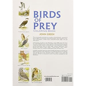 Birds of Prey Coloring Book