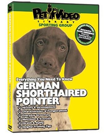 pointer puppy training