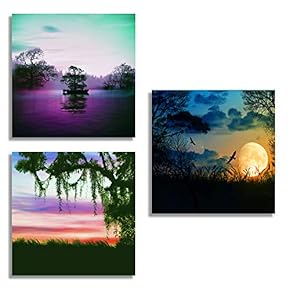 3 Piece Canvas Wall Art for Living Room Bedroom Home Artwork The Beautiful Scenery of Sunset Paintings Ready to Hang - 12"x12"x3 Panels