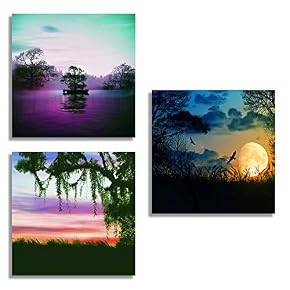 for Living Room Bedroom Home Artwork The Beautiful...