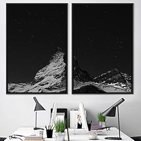 signwin 2 Piece Framed Canvas Wall Art Black...