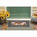 Evergreen Flag Sassafras Elegant Patterned Pumpkins Interchangeable Entrance Doormat | Indoor and Outdoor | 22-inches x 10-inches | Non-Slip Backing | All-Season | Low Profile | Home Decor