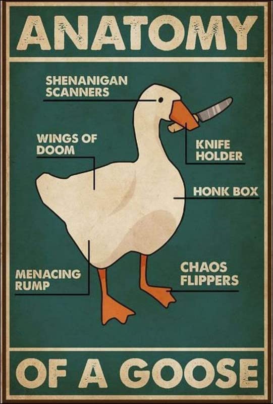 RIFOSA 12"x8" Anatomy of A Goose Dask Retro Metal Tin Sign Vintage Aluminum Sign for Home Wall Decor