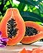 Martha's Best Papaya (Set of 12)