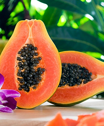 Martha's Best Papaya (Set of 12)