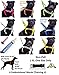Deaf Dog Dexil Friendly Dog Collars Color Coded Dog Accident Prevention Leash 6ft/1.8m Prevents Dog Accidents by Letting Others Know Your Dog in Advance Award Winning