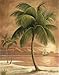 wallsthatspeak 8” x 10” Island Palm Tree Wall Prints for Home (Set of 2), Beach Scene Decor for Bathroom or Office, Nautical/Beach Party Decorations, Hawaiian Art for Living Room