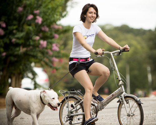 Squishy Face Studio Hands Free Dog Leash Belt, Small/Medium, Neon Pink