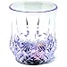 Liquid Activated Multicolor LED Glasses ~ Fun Light Up Drinking Tumblers - 6 oz.