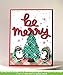 Lawn Fawn Clear Stamps - Snow Cool (LF1226)