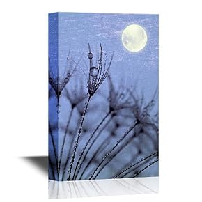 Dewy Dandelion Premium