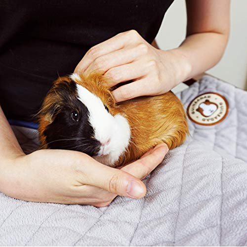 GuineaDad Liner Guinea Pig Fleece Cage Liners Guinea Pig Bedding