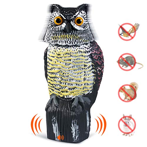 CampFENSE Owl Decoy with Rotating Head, Sculpture with Frightening Sound & Shadow Control (Batteries Not Included)