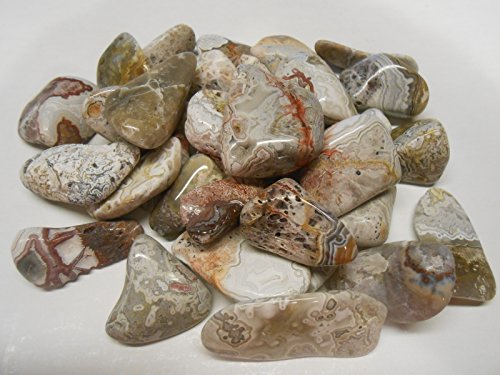 Rock Tumbler Gem Refill Kit Mexican Crazy Lace Agate Rough 8oz