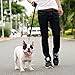 Downtown Pet Supply Dog/Puppy Obedience Recall Training Agility Lead