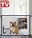 Queenii Magic Gate for Dogs, Baby Gates Pet Safety Gate, Portable Folding Mesh Magic Gate Baby Safety Gates, Safe Guard Install Anywhere, Safety Fence for Hall Doorway Wide Tall (Black)